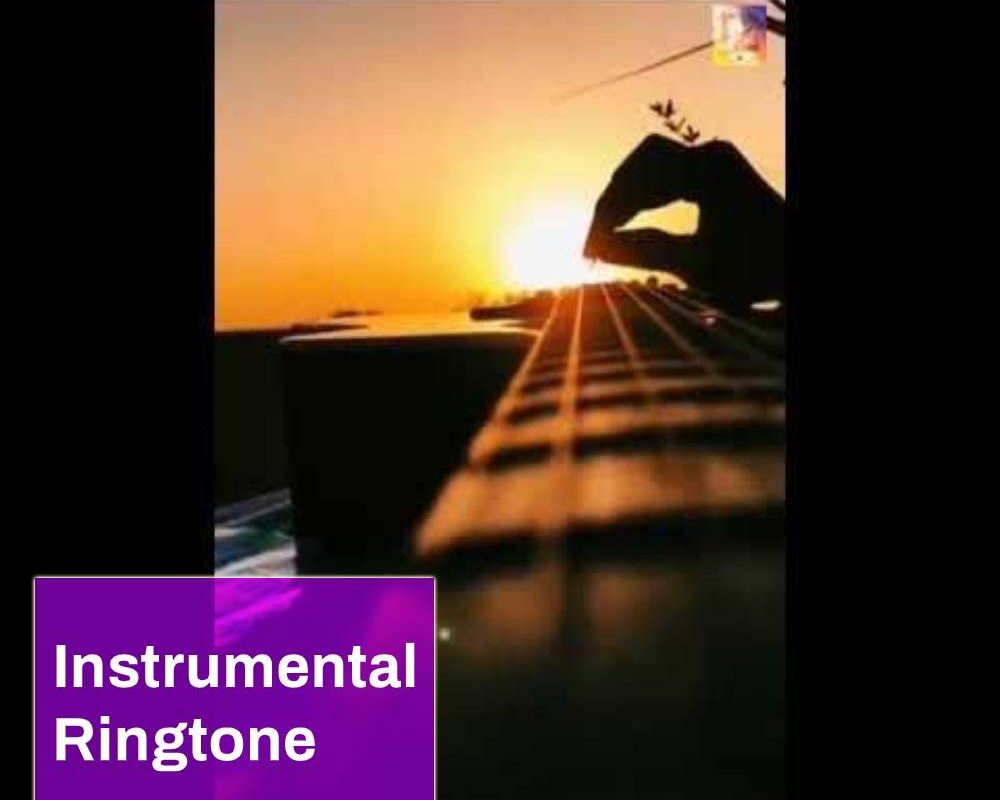 Instrumental