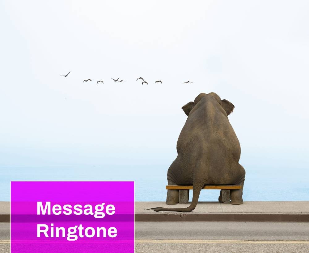 Funny Ringtones Free MP3 Download | Mingo Sounds