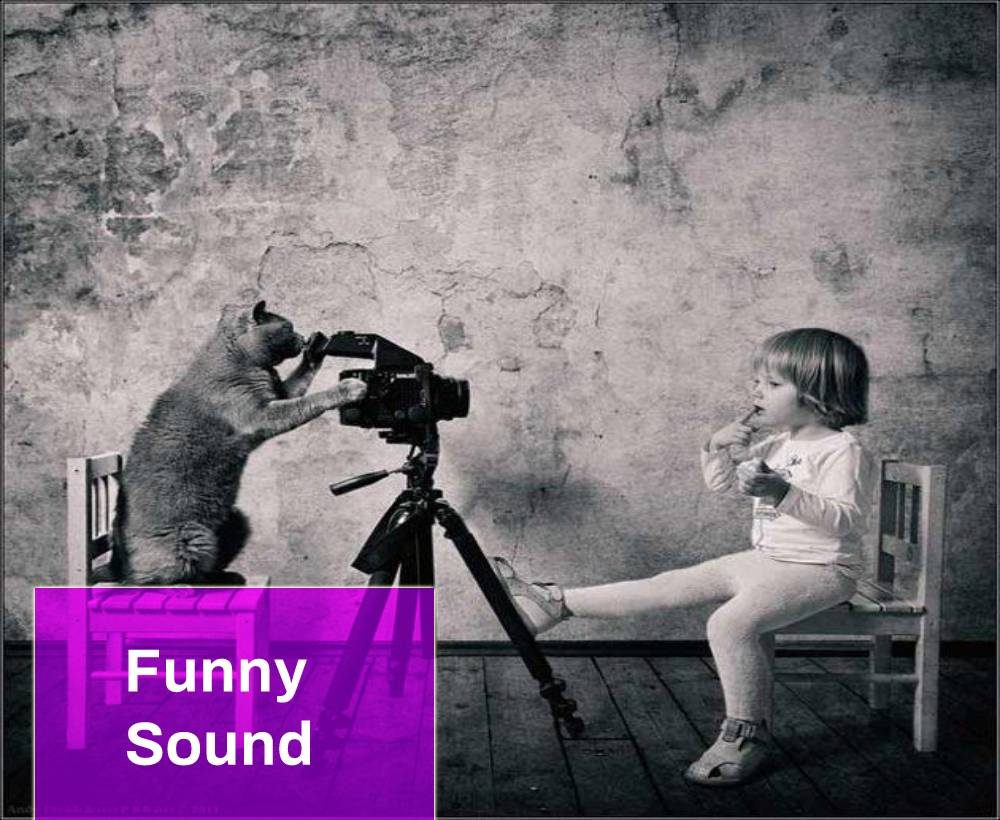 Funny Tom Cat Sound Effect