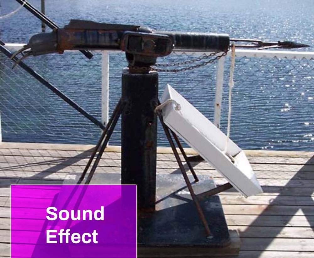 Harpoon Sound Effect