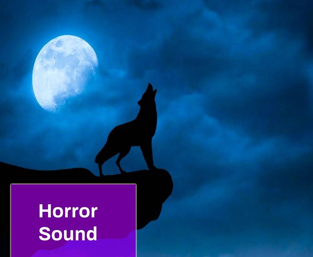 Wolf Howl Sound Effect