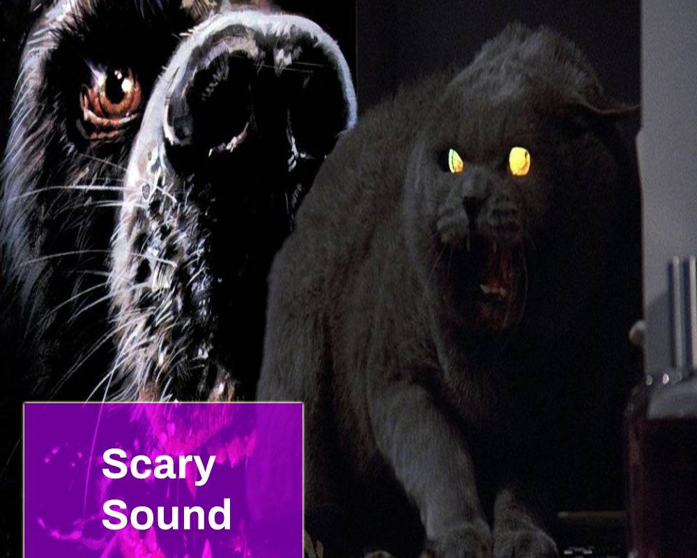 Horror Pet Sound Effect