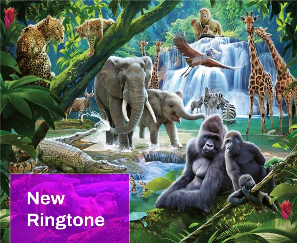 Jungle Ringtone Free MP3 Download | Mingo Sounds