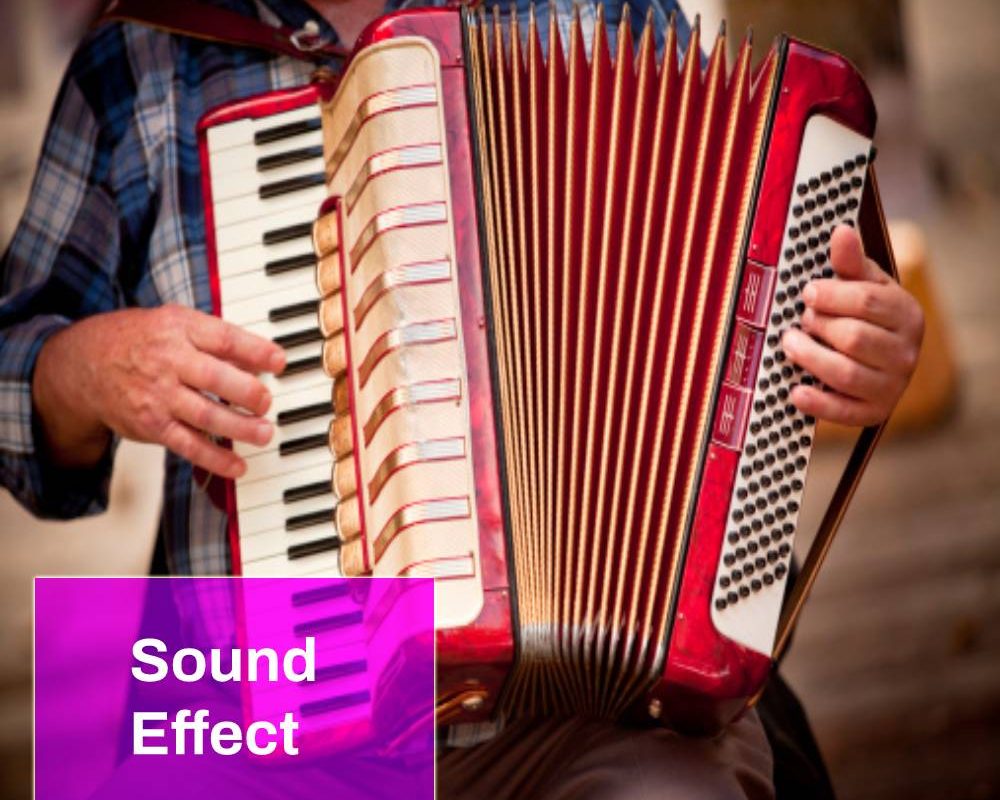 Accordion Sound