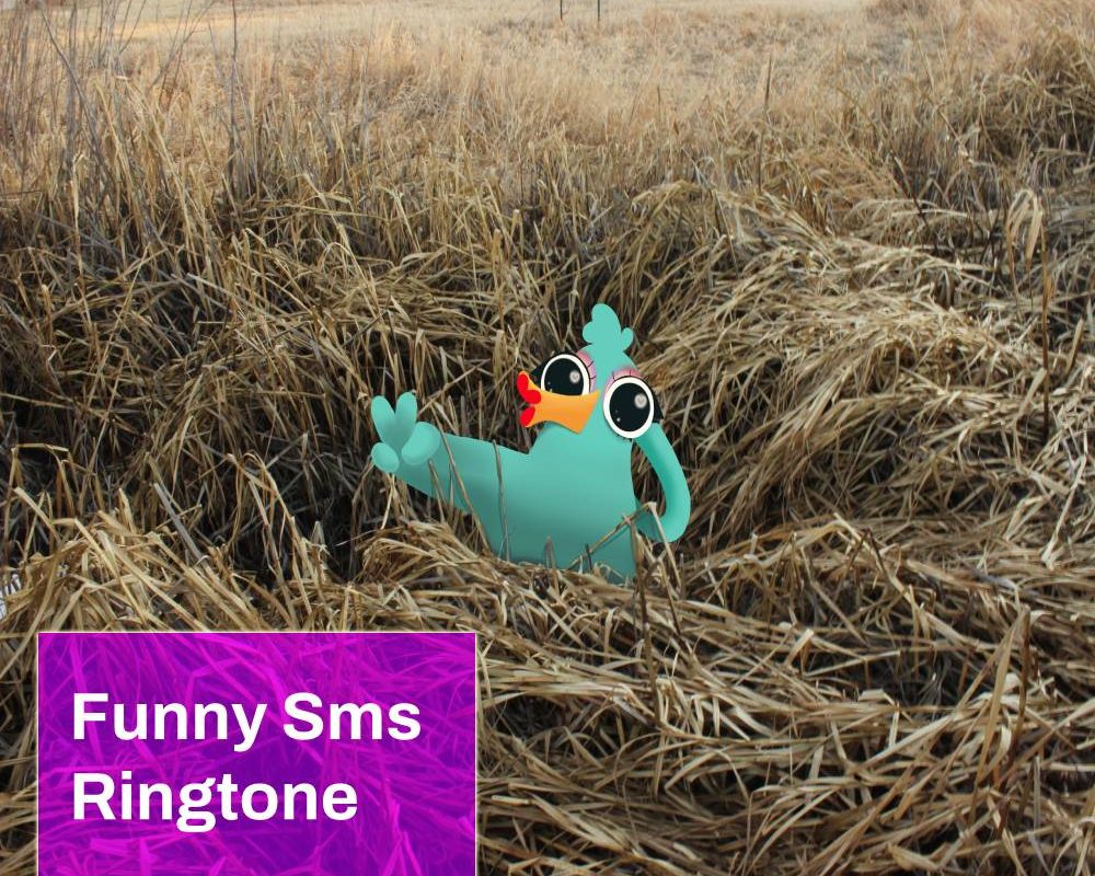 Funny Sms Ringtone