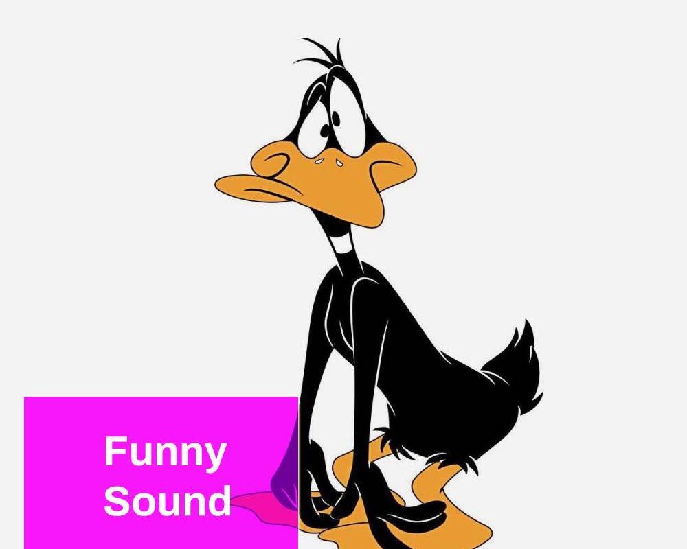 Duck Laugh Sound