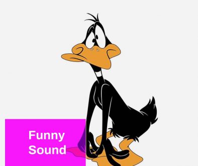 Duck Laugh Sound