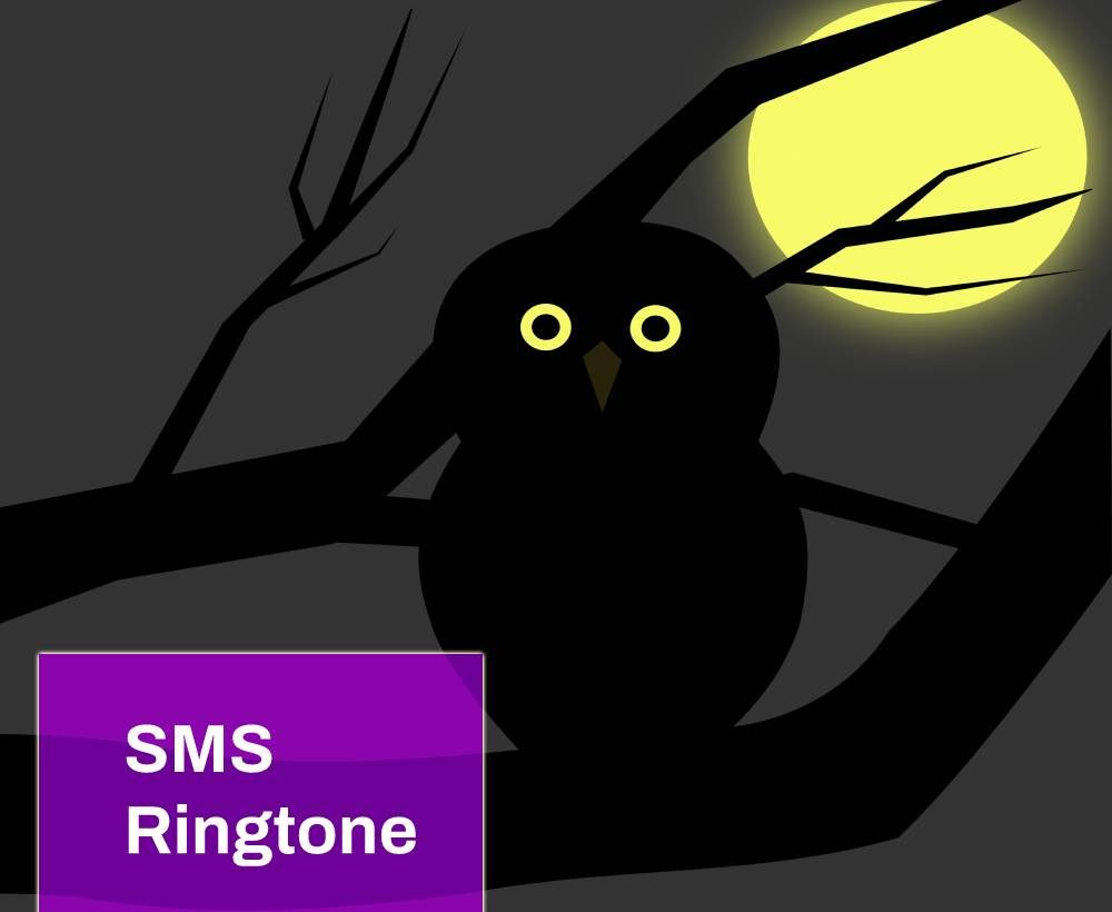 Owl Sms Ringtone Free MP3 Download | Mingo Sounds