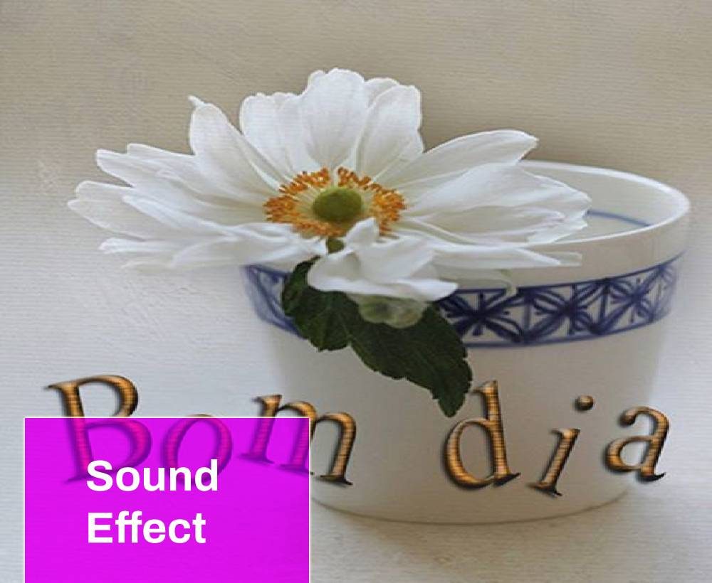 Bom dia Sound Effect Free MP3 Download | Mingo Sounds