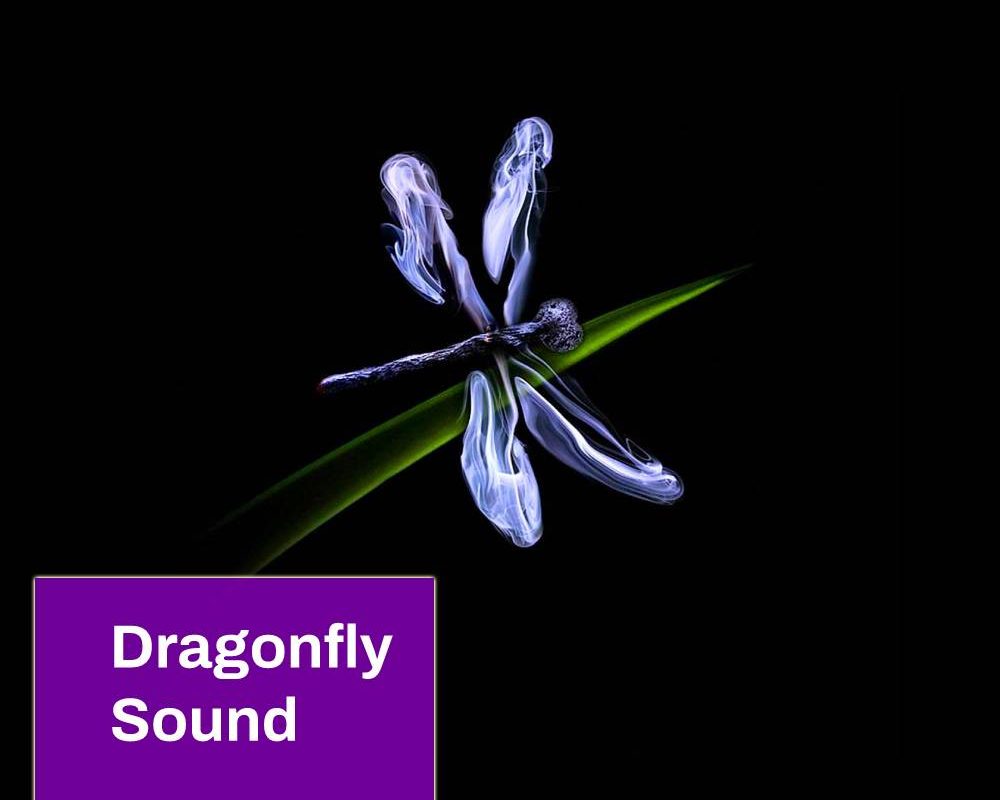 Dragonfly Sound