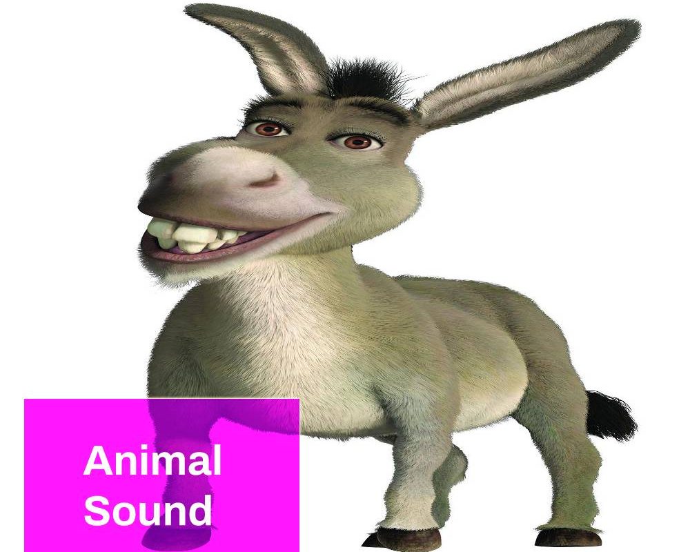 Donkey Snort Sound