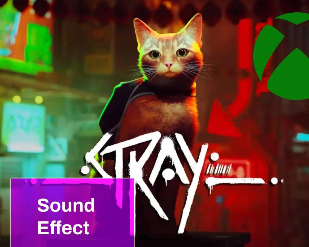 Stray Sound Effect