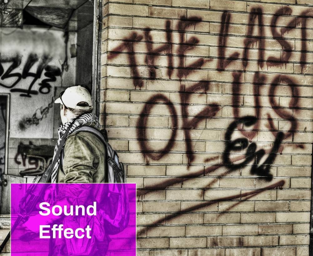 Last Mohicans Sound