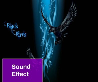 Black Bird Sound