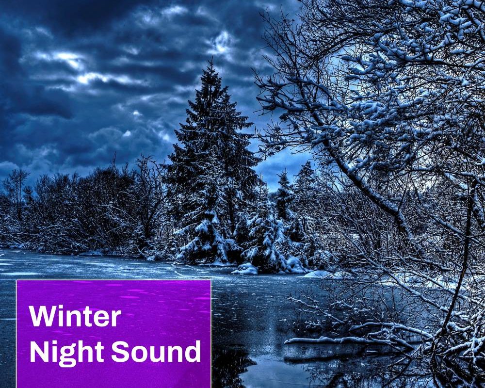 Winter Night Sound