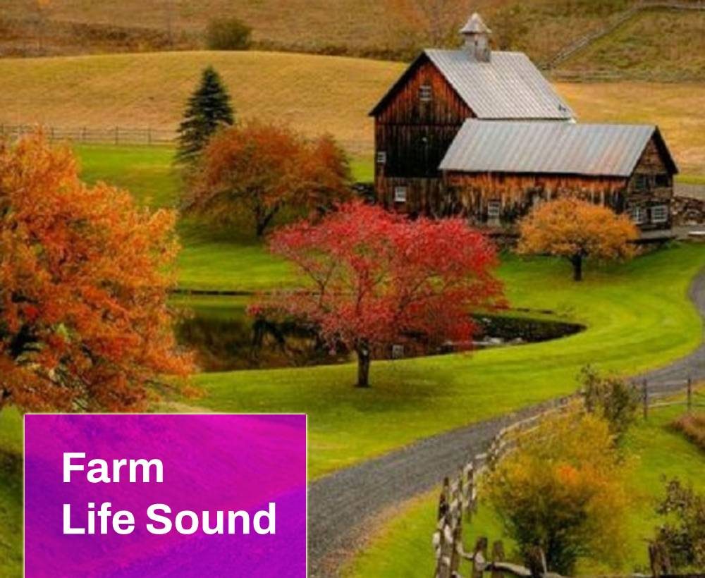Life on the Farm Sound