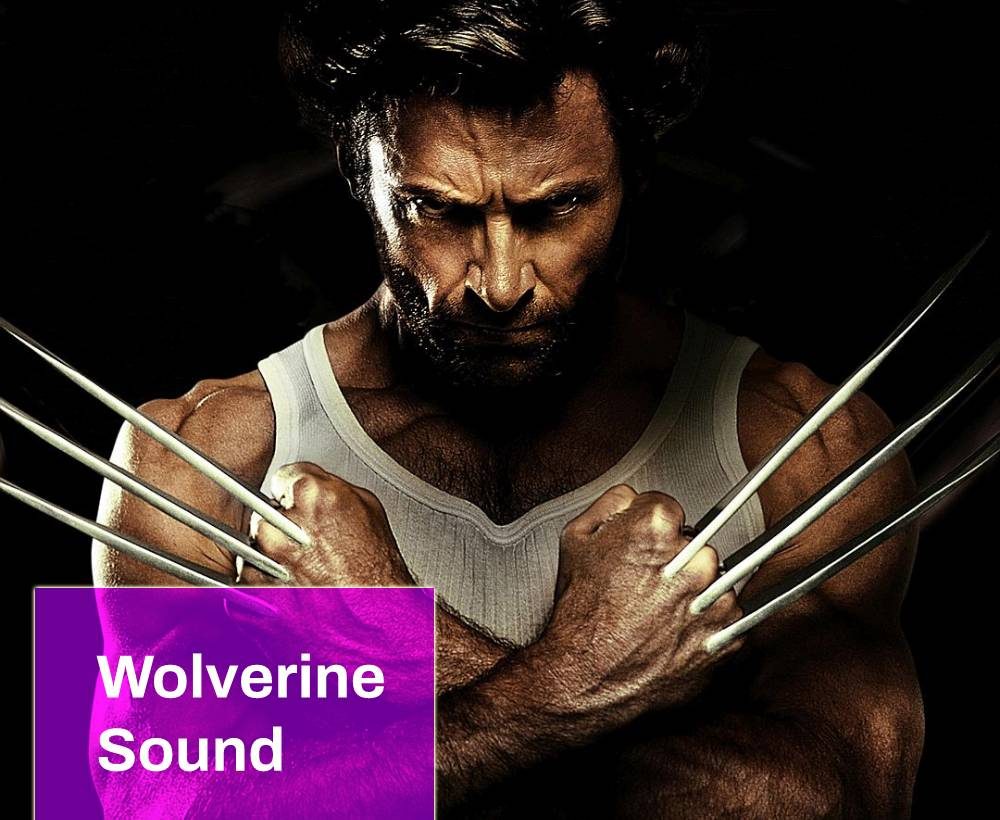 Wolverine Sound