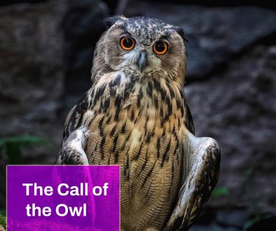 The Call of the Owl
